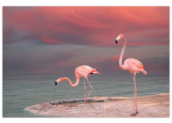 Tablou - Flamingo (90x60 cm)