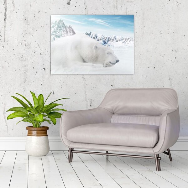 Tablou - Urs polar (70x50 cm)