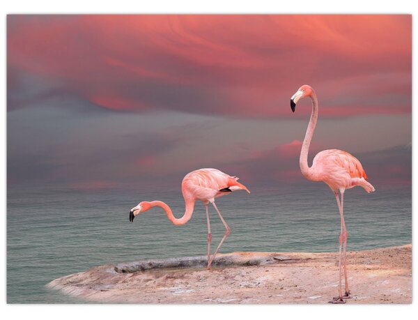 Tablou - Flamingo (70x50 cm)