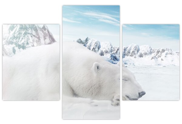 Tablou - Urs polar (90x60 cm)
