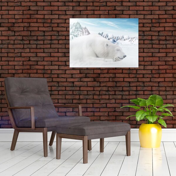 Tablou - Urs polar (70x50 cm)