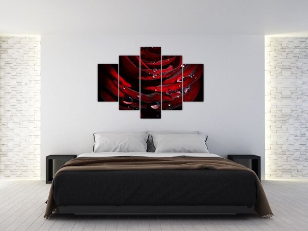 Tablou - Trandafir (150x105 cm)
