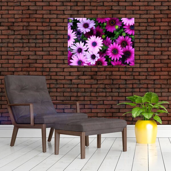 Tablou - Flori (70x50 cm)