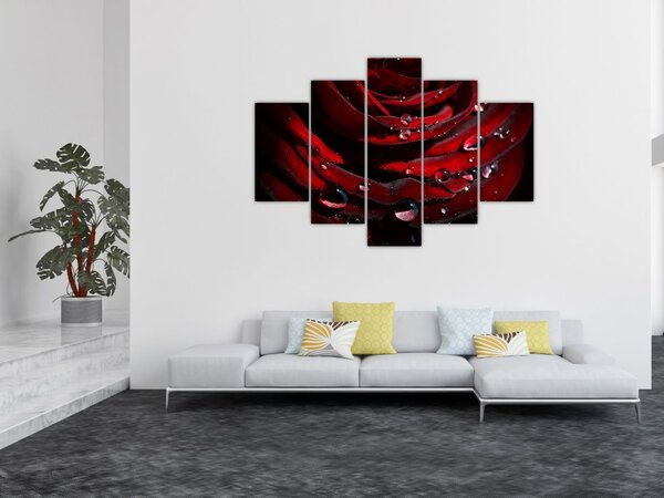 Tablou - Trandafir (150x105 cm)