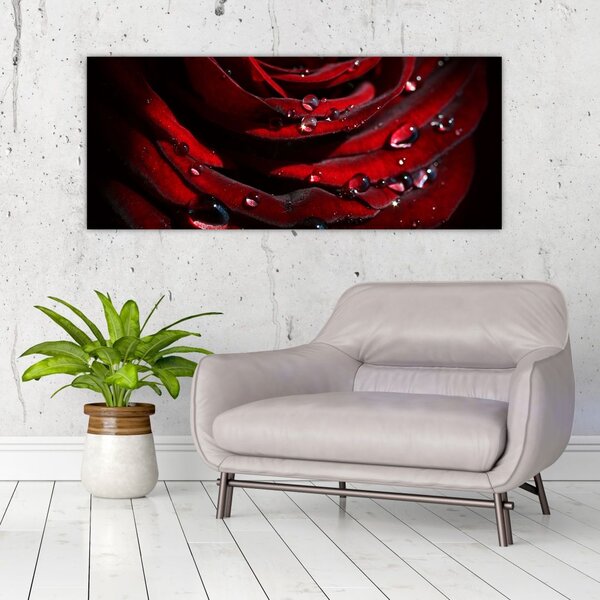 Tablou - Trandafir (120x50 cm)
