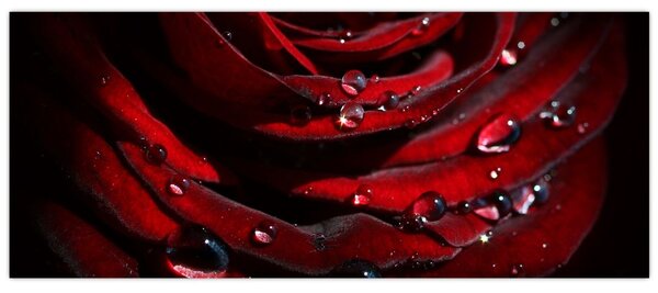 Tablou - Trandafir (120x50 cm)