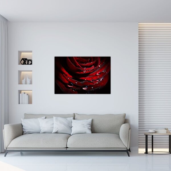Tablou - Trandafir (90x60 cm)