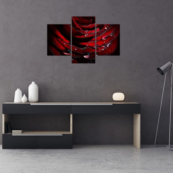 Tablou - Trandafir (90x60 cm)