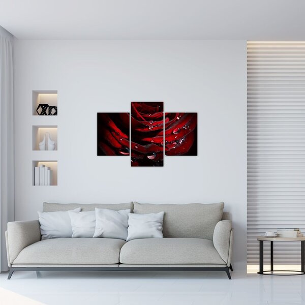 Tablou - Trandafir (90x60 cm)