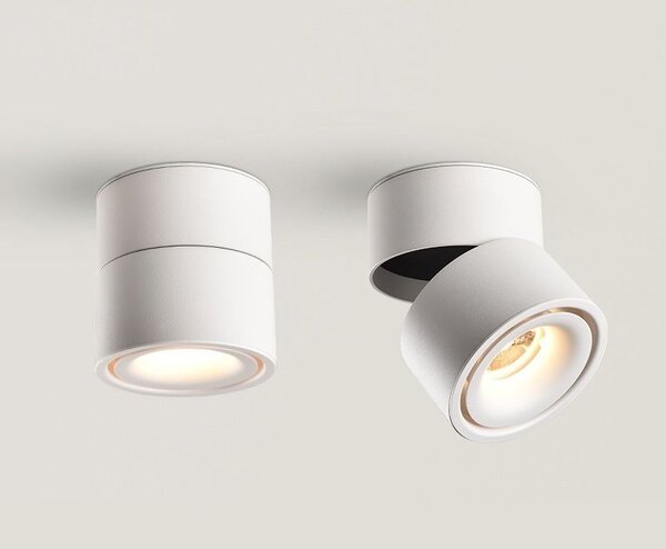 Abigali Commercial lampă de tavan 1x12 W alb MZTD-W-12-20WW