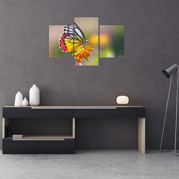 Tablou - Fluture pe floare (90x60 cm)