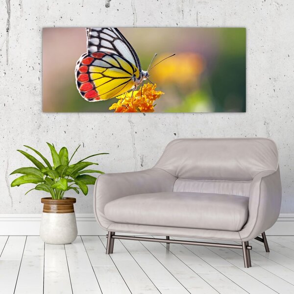 Tablou - Fluture pe floare (120x50 cm)