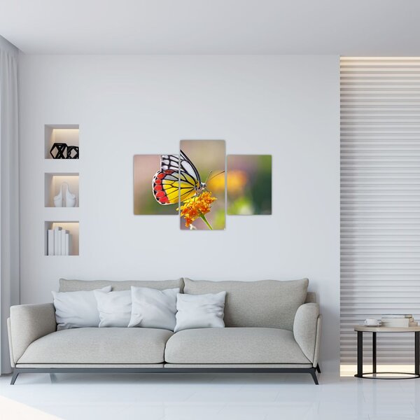 Tablou - Fluture pe floare (90x60 cm)