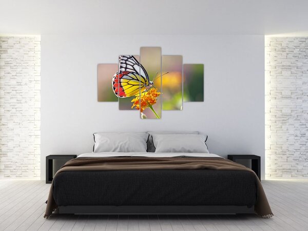 Tablou - Fluture pe floare (150x105 cm)