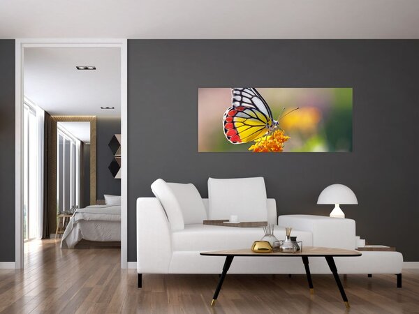 Tablou - Fluture pe floare (120x50 cm)