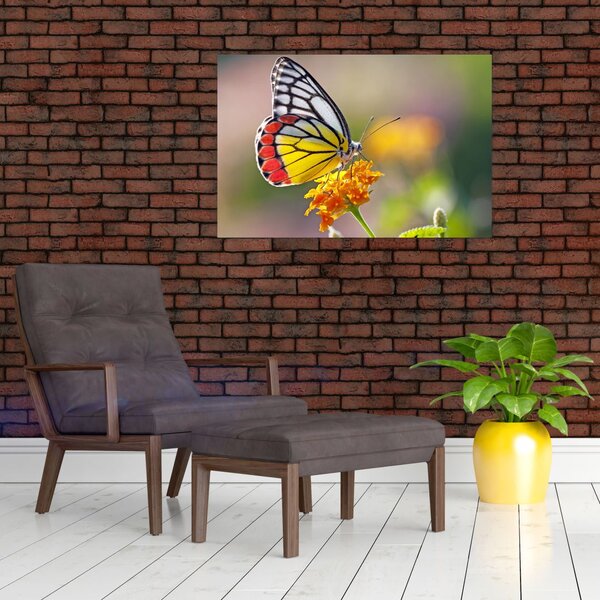 Tablou - Fluture pe floare (90x60 cm)