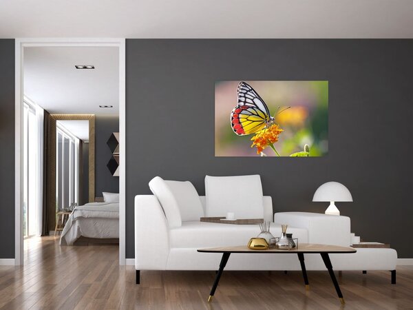 Tablou - Fluture pe floare (90x60 cm)