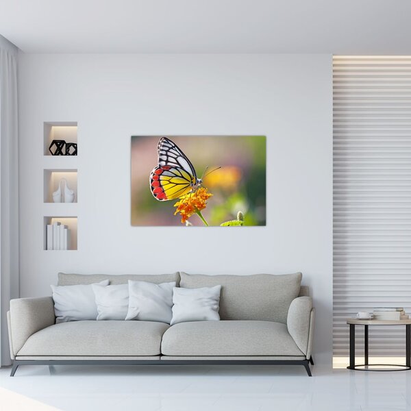 Tablou - Fluture pe floare (90x60 cm)