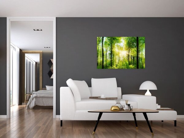 Tablou - Răsărit în pădure (90x60 cm)
