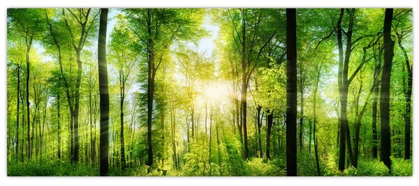 Tablou - Răsărit în pădure (120x50 cm)
