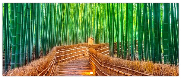 Tablou - Pădure de bambus japoneză (120x50 cm)