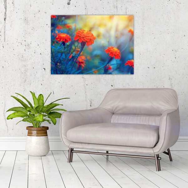 Tablou - Flori portocalii (70x50 cm)