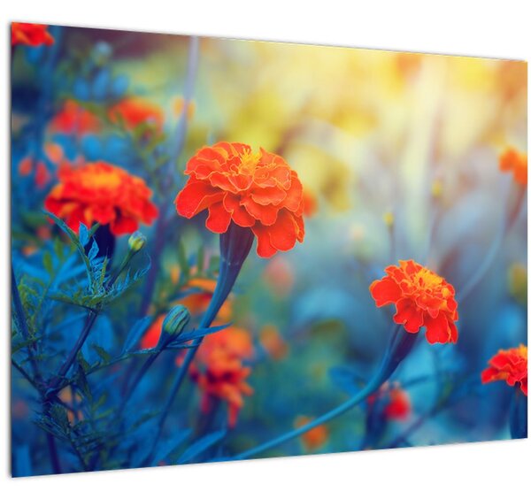 Tablou pe sticlă - Flori portocalii (70x50 cm)