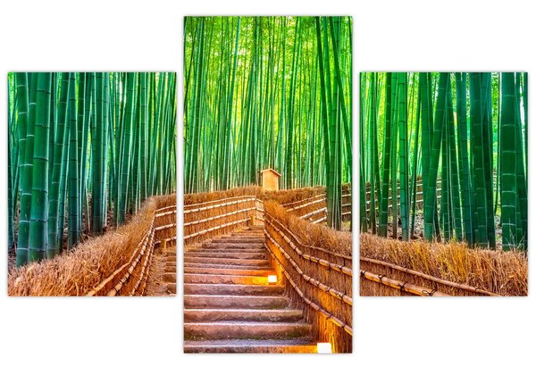 Tablou - Pădure de bambus japoneză (90x60 cm)