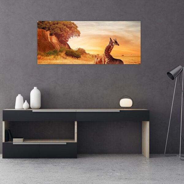 Tablou Girafe în Africa (120x50 cm)