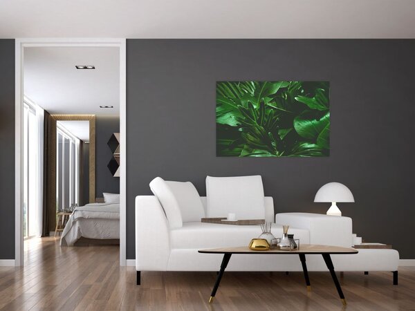 Tablou - Frunze de palmier (90x60 cm)