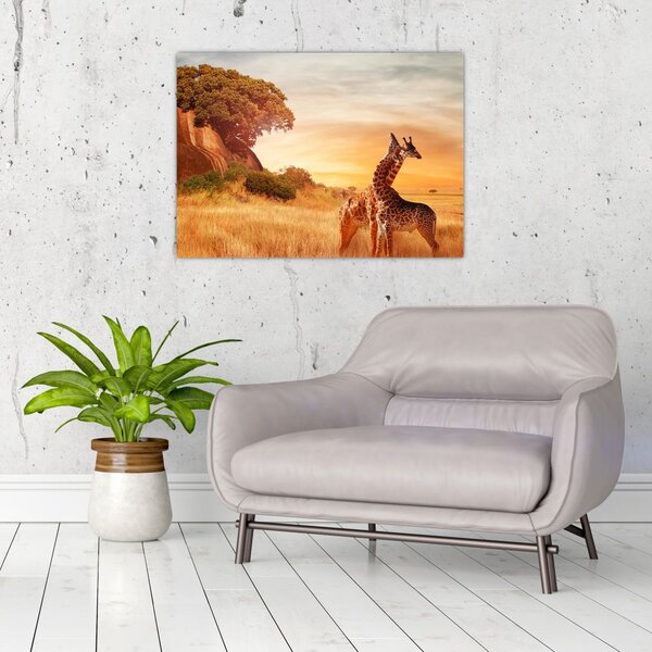 Tablou Girafe în Africa (70x50 cm)