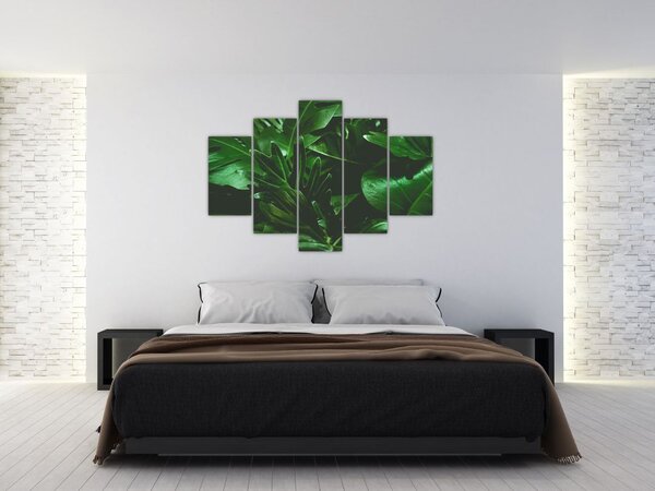 Tablou - Frunze de palmier (150x105 cm)
