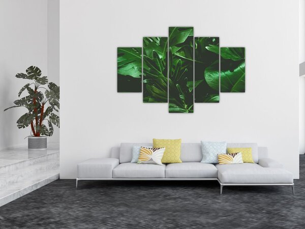 Tablou - Frunze de palmier (150x105 cm)