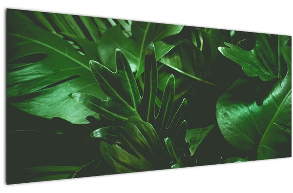 Tablou - Frunze de palmier (120x50 cm)