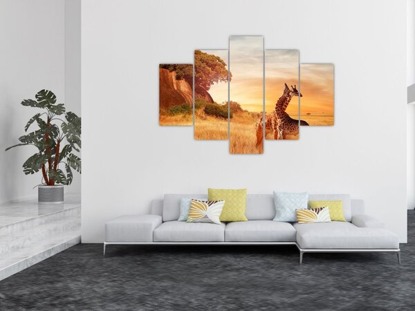 Tablou Girafe în Africa (150x105 cm)
