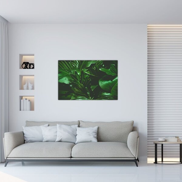 Tablou - Frunze de palmier (90x60 cm)