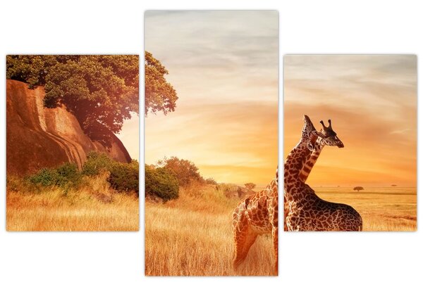 Tablou Girafe în Africa (90x60 cm)