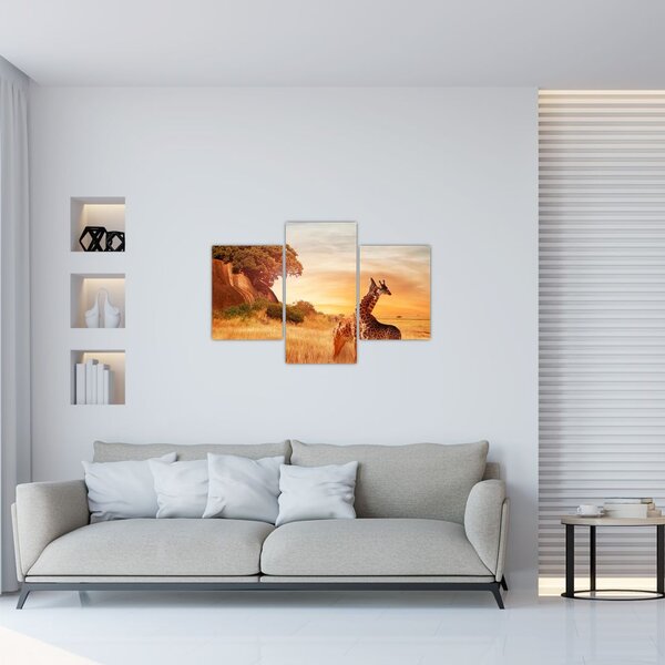 Tablou Girafe în Africa (90x60 cm)