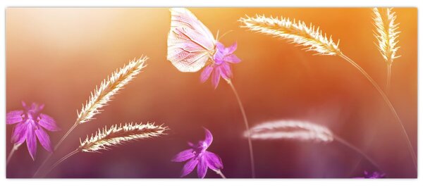 Tablou - Fluture roz (120x50 cm)