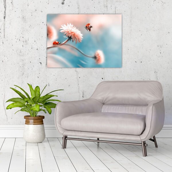 Tablou - Buburuze pe floare (70x50 cm)