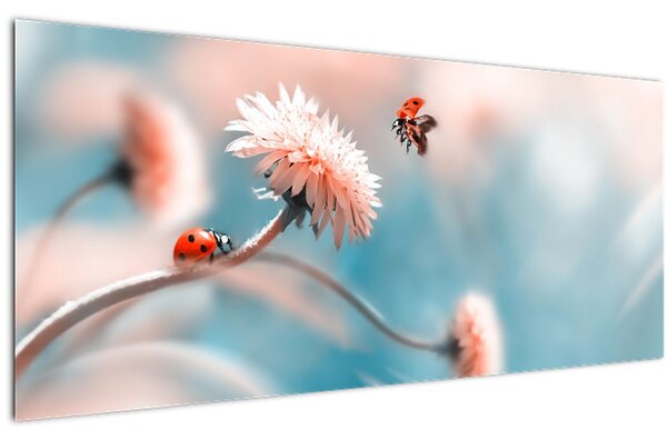 Tablou - Buburuze pe floare (120x50 cm)