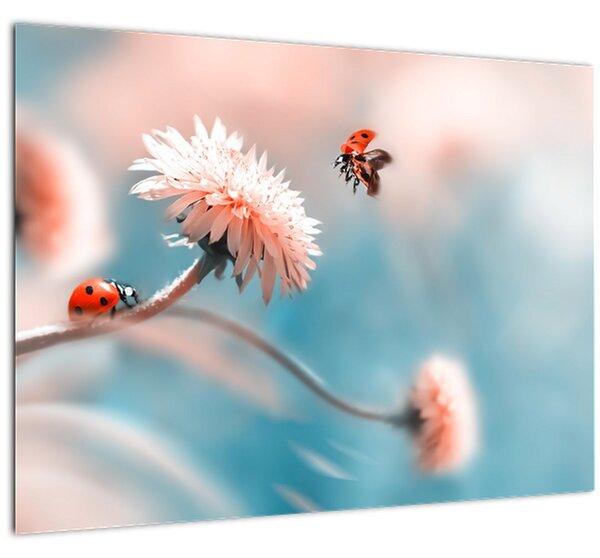Tablou - Buburuze pe floare (70x50 cm)