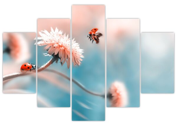 Tablou - Buburuze pe floare (150x105 cm)