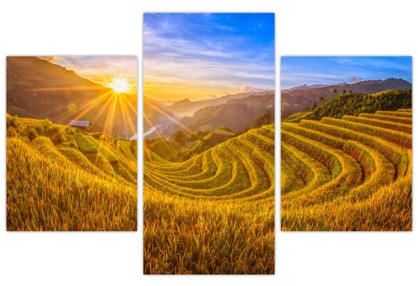 Tablou - Terasele de orez din Vietnam (90x60 cm)