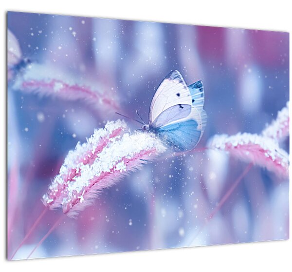 Tablou - Fluturi iarna (70x50 cm)