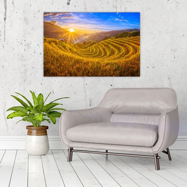 Tablou - Terasele de orez din Vietnam (90x60 cm)