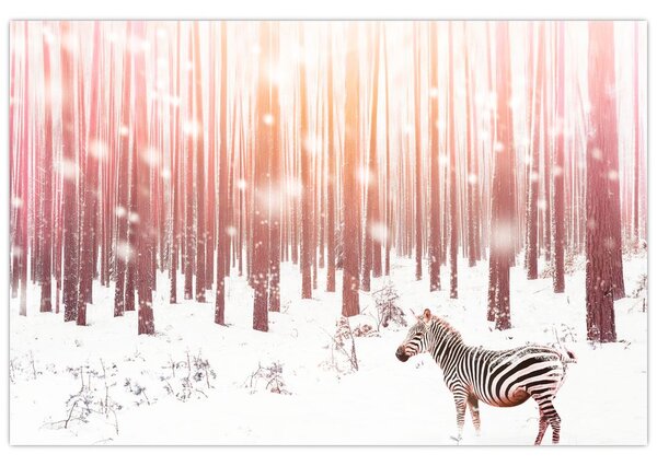 Tablou - Zebra în pădurea înzăpezită (90x60 cm)