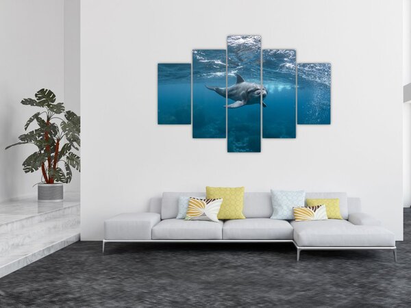 Tablou - Delfin sub apă (150x105 cm)
