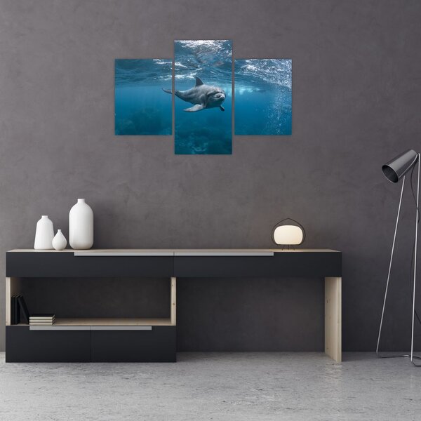Tablou - Delfin sub apă (90x60 cm)