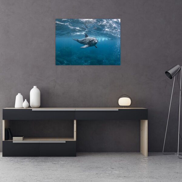 Tablou - Delfin sub apă (70x50 cm)